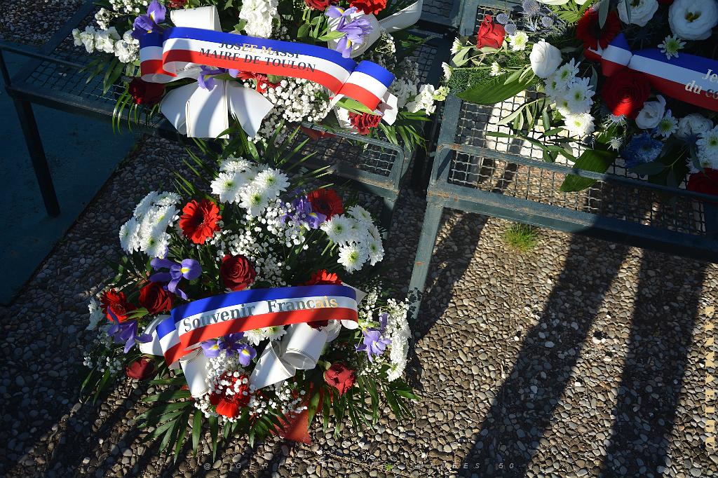 2024 11 01 TOULON HOMMAGE AUX MORTS POUR LA FRANCE (21).jpg